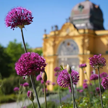 Otel Parkhotel Golf 4*